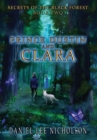 Image for Prince Dustin and Clara : Secrets of the Black Forest (Volume 2)