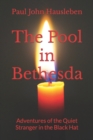 Image for The Pool in Bethesda : Adventures of the Quiet Stranger in the Black Hat