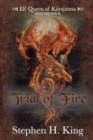 Image for Trial of Fire
