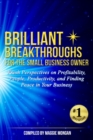 Image for Brilliant Breakthroughs for the Small Business Owner : Fresh Perspectives on Profitability, People, Productivity, and Finding Peace in Your Business