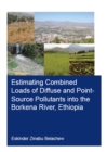 Image for Estimating Combined Loads of Diffuse and Point-Source Pollutants Into the Borkena River, Ethiopia