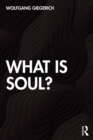 Image for What is Soul?