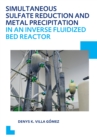 Image for Simultaneous sulfate reduction and metal precipitation in an inverse fluidized bed reactor: UNESCO-IHE PhD thesis