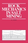 Image for Rock mechanics in salt mining