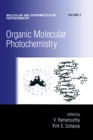 Image for Organic molecular photochemistry : v. 3