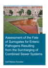 Image for Assessment of the Fate of Surrogates for Enteric Pathogens Resulting from the Surcharging of Combined Sewer Systems