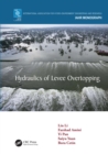 Image for Hydraulics of levee overtopping