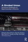 Image for A divided union: structural challenges to bipartisanship in America