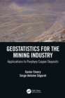 Image for Geostatistics for the mining industry: applications to porphyry copper deposits