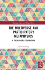 Image for The multiverse and participatory metaphysics: a theological exploration