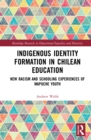 Image for Indigenous identity formation in Chilean education: new racism and schooling experiences of Mapuche youth