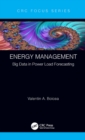 Image for Energy Management: Big Data in Power Load Forecasting