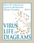Image for Virus life in diagrams