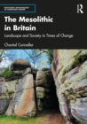 Image for The Mesolithic in Britain: landscape and society in times of change