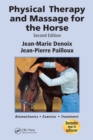 Image for Physical therapy and massage for the horse