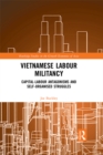 Image for Vietnamese Labour Militancy: Capital-Labour Antagonisms and Self-Organised Struggles