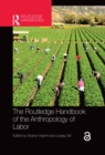 Image for The Routledge Handbook of the Anthropology of Labor