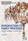 Image for Introduction to Family Processes