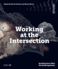 Image for Working at the Intersection: Architecture After the Anthropocene