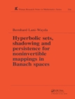 Image for Hyperbolic Sets, Shadowing and Persistence for Noninvertible Mappings in Banach Spaces
