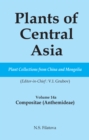 Image for Plants of Central Asia - Plant Collection from China and Mongolia Vol. 14A: Compositae (Anthemideae) : Vol. 14A,