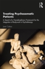 Image for Treating the psychosomatic conflict: in search of a transdisciplinary framework for the integration of bodywork in psychotherapy