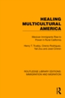 Image for Healing Multicultural America: Mexican Immigrants Rise to Power in Rural California