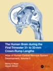Image for The Human Brain During the First Trimester 31- To 33-Mm Crown-Rump Lengths : 5