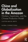 Image for China and Globalization in the Amazon: Workers, Expatriates and the Chinese Production Model