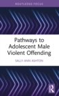 Image for Pathways to Adolescent Male Violent Offending
