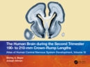 Image for The Human Brain During the Second Trimester 190- To 210-Mm Crown-Rump Lengths