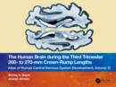 Image for The Human Brain During the Third Trimester 260- To 270-Mm Crown-Rump Lengths : 12