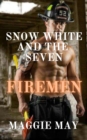 Image for Snow White and the Seven Firemen