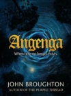 Image for Angenga: The Disappearance Of Time