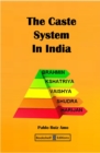 Image for Caste System in India