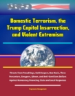 Image for Domestic Terrorism, the Trump Capitol Insurrection, and Violent Extremism: Threats from Proud Boys, Oath Keepers, Neo-Nazis, Three Percenters, Groypers, QAnon, and Anti-Semitism; Dollars Against Democracy Financing; State and Local Responses