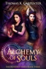 Image for Alchemy of Souls