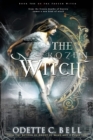 Image for Frozen Witch Book Four