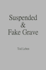 Image for Suspended and Fake Grave