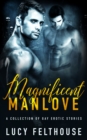 Image for Magnificent Manlove