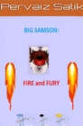 Image for Big Samson: Fire and Fury