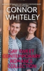 Image for Gay Sweet Contemporary Romance Collection