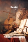 Image for David : Five Sermons