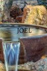 Image for Joel Bible Journal