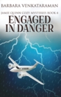 Image for Engaged in Danger (Jamie Quinn Cozy Mysteries Book 4)