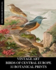 Image for Vintage Art : Birds of Central Europe: 35 Botanical Prints