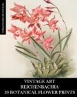 Image for Vintage Art : Reichenbachia 20 Botanical Flower Prints: Flora Ephemera for Framing, Home Decor and Collage
