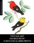 Image for Vintage Art : George Shaw 35 Botanical Bird Prints: Ephemera for Framing, Collage, Decoupage and Junk Journals