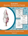 Image for Gnomes, homes and friends volume 2 : Gnome away from home