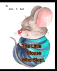 Image for The Little Mouse Who Slept.